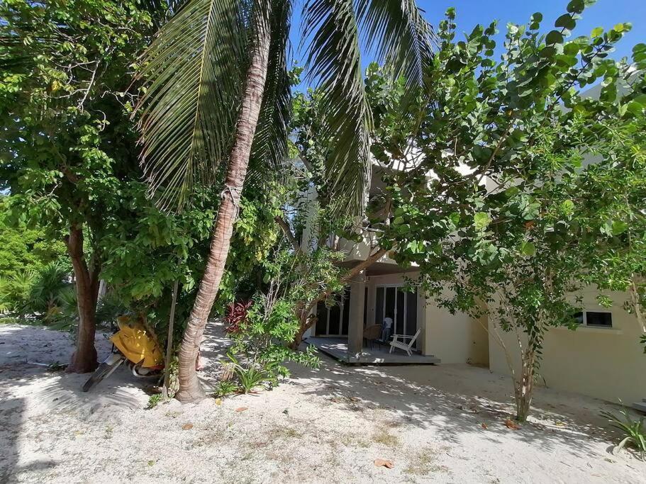 Marysol Great Views Beachfront Next To Nomads D3 Apartamento *