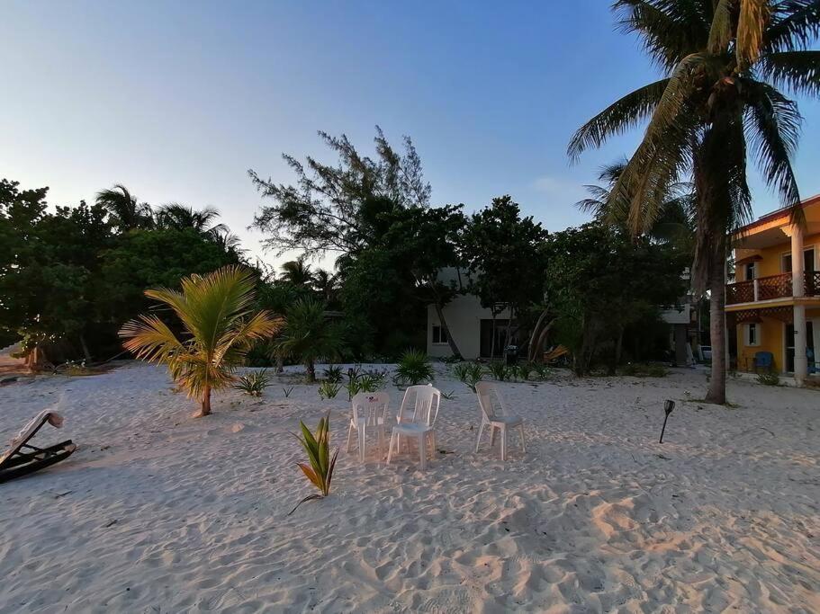 Apartamento Marysol Great Views Beachfront Next To Nomads D3