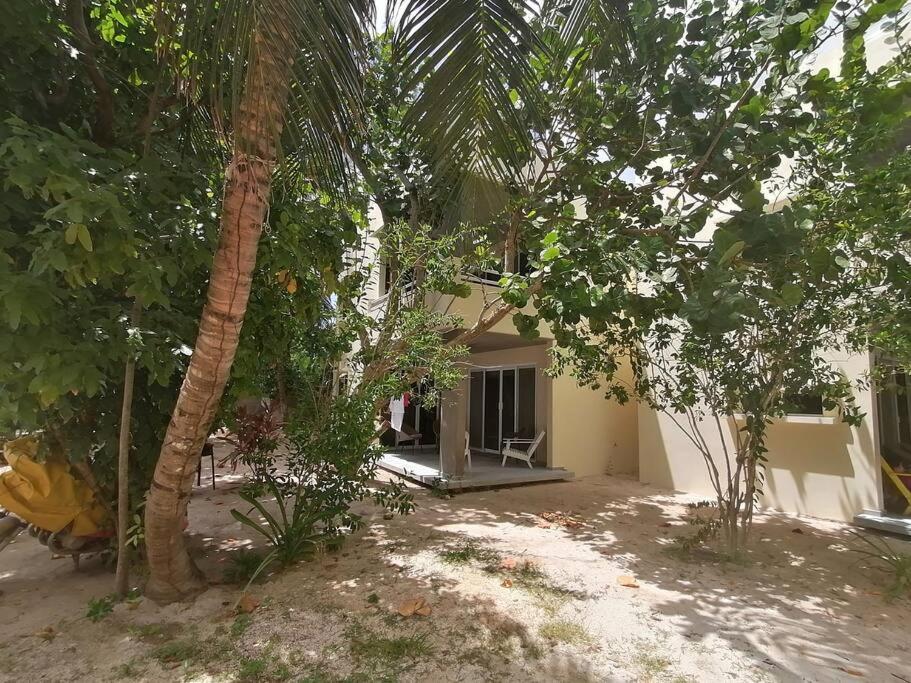 Marysol Great Views Beachfront Next To Nomads D3 Apartamento