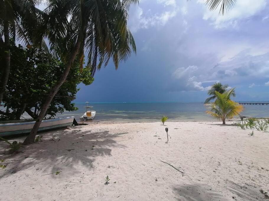 Marysol Great Views Beachfront Next To Nomads D3 Apartamento