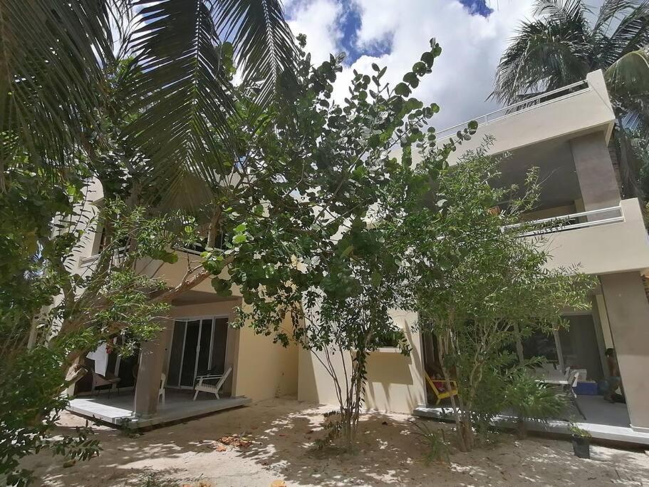 Marysol Great Views Beachfront Next To Nomads D3 * Isla Mujeres