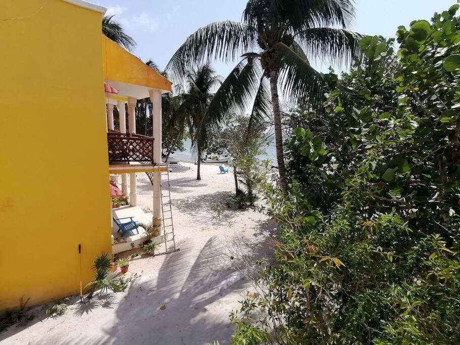 Marysol Great Views Beachfront Next To Nomads D3 Apartamento