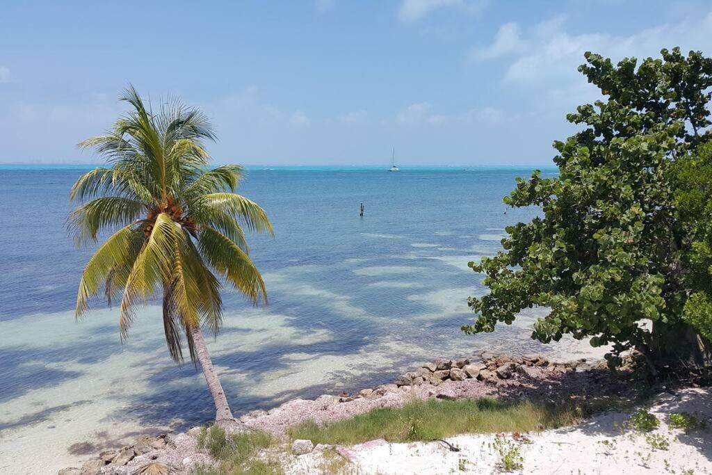 Marysol Great Views Beachfront Next To Nomads D3 Apartamento