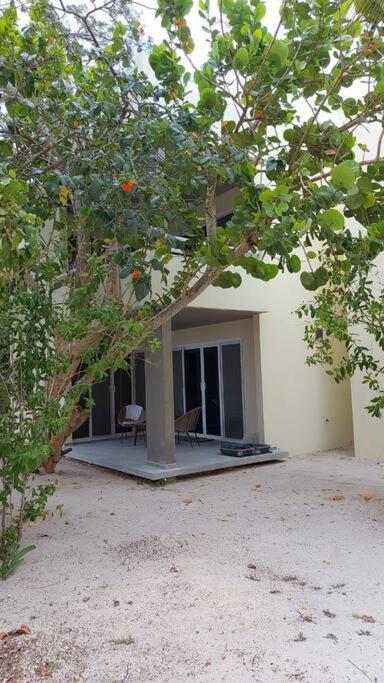 Marysol Great Views Beachfront Next To Nomads D3 Apartamento Isla Mujeres